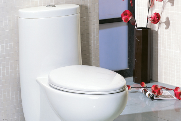 Save money and water in the bathroom for 2015.